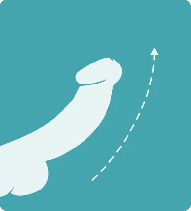 Technology Step 2