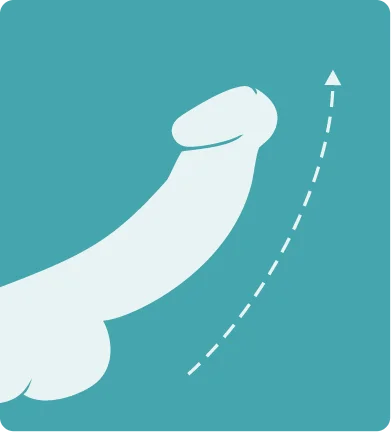 Technology Step 3
