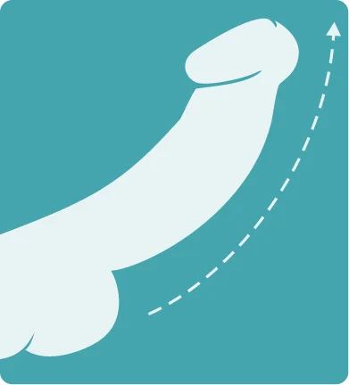 Technology Step 4