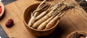 Panax Ginseng